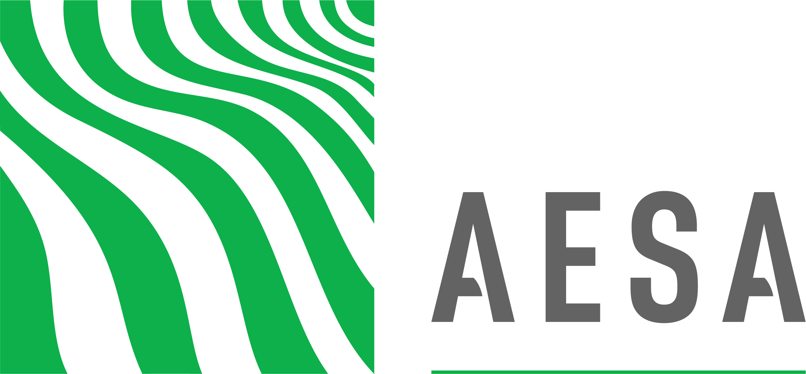Agriconsulting (AESA)